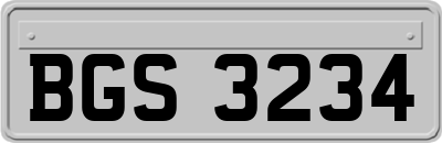 BGS3234