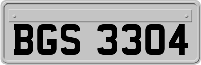 BGS3304