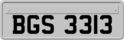 BGS3313