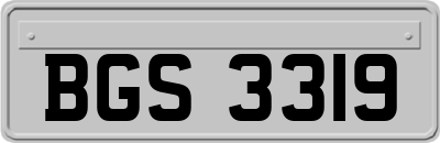BGS3319