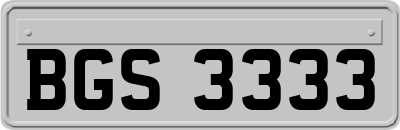 BGS3333