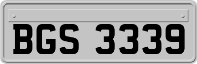 BGS3339