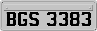 BGS3383