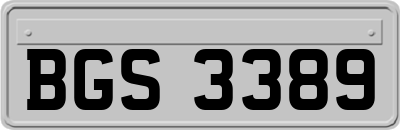 BGS3389
