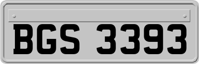 BGS3393