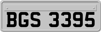 BGS3395