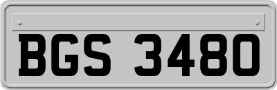 BGS3480
