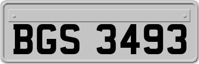 BGS3493