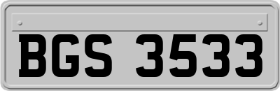 BGS3533
