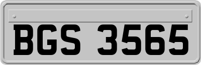 BGS3565