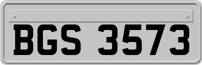 BGS3573
