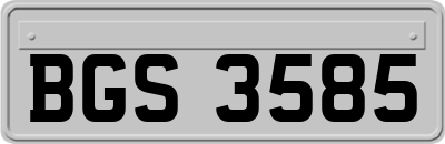 BGS3585