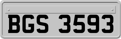 BGS3593