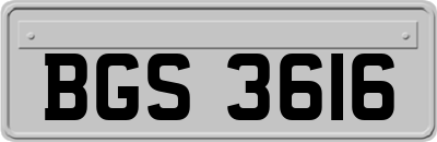 BGS3616