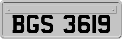 BGS3619