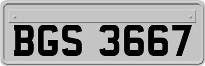 BGS3667