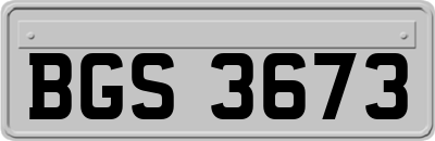 BGS3673