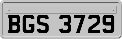 BGS3729