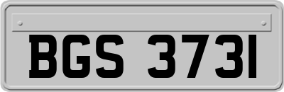 BGS3731