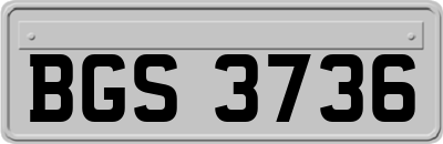 BGS3736