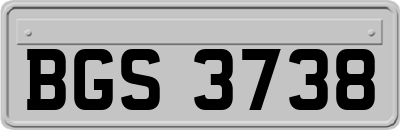 BGS3738