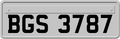 BGS3787