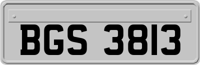 BGS3813