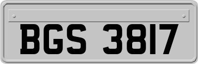 BGS3817