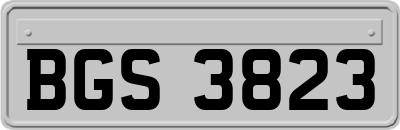 BGS3823