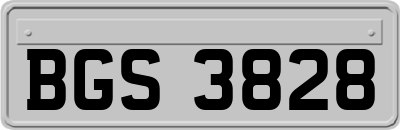 BGS3828