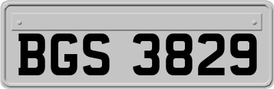 BGS3829