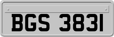 BGS3831