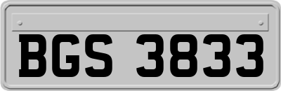 BGS3833