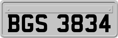 BGS3834