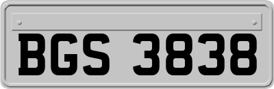 BGS3838