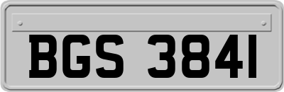 BGS3841