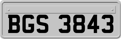 BGS3843