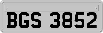 BGS3852