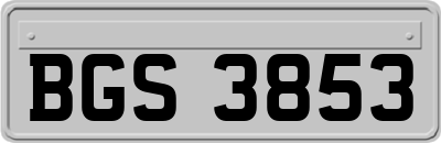 BGS3853
