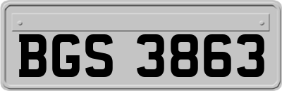 BGS3863