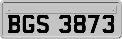 BGS3873