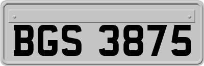 BGS3875