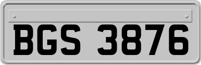BGS3876