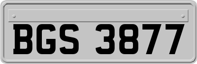 BGS3877