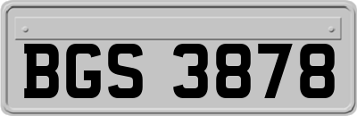 BGS3878