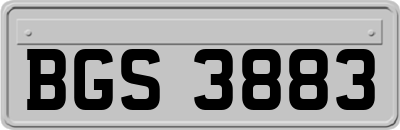 BGS3883