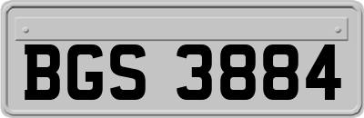BGS3884
