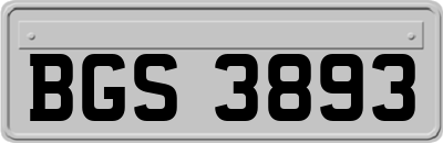 BGS3893