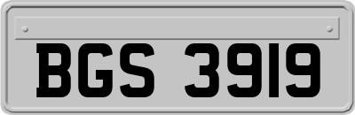 BGS3919