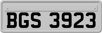 BGS3923